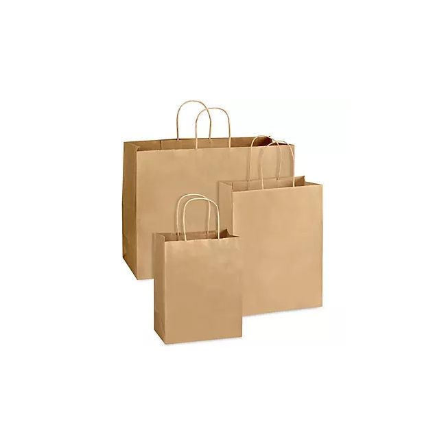 17x13 Paper Carry Bag