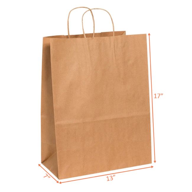 17x13 Paper Carry Bag