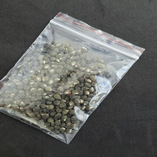 Transparent Ziplock Poly Bag 14 x 18 Inch 60 Micron