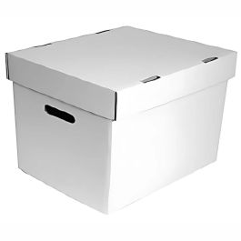 File Storage Box - 16.5 x 14.5 x 12 Inch