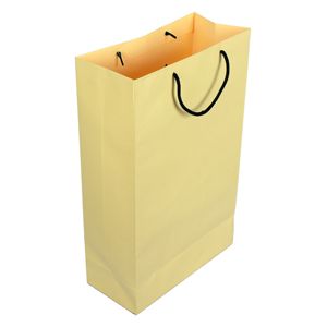 Shopping Bag (Pre Printed) - 10W X 16H Inch