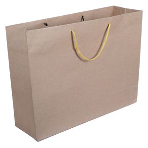 Shopping Bag (Pre Printed) - 17W X 13H Inch