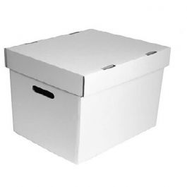 File Storage Box - 15 x 12 x 10 Inch