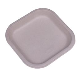 Biodegradable Food Packaging - 4L X 4W Inch Square Bowl