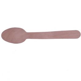 Biodegradable Food Packaging - 6 Inch Spoons