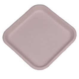 Biodegradable Food Packaging - 10L x 10W Inch Square Plate