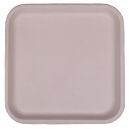 Biodegradable Food Packaging - 6L X 6W Inch Square Plate